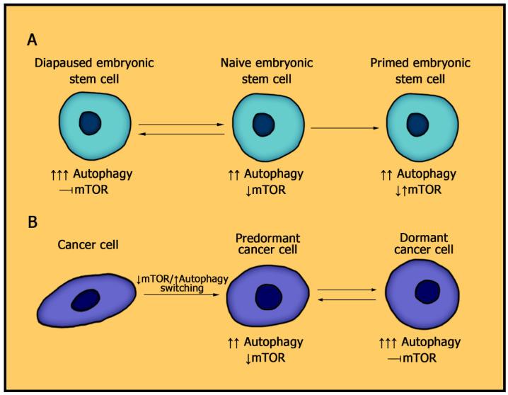 https://cdn.ncbi.nlm.nih.gov/pmc/blobs/280b/8620939/c6e4b17da5d5/membranes-11-00858-g001.jpg