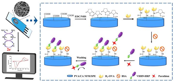 https://cdn.ncbi.nlm.nih.gov/pmc/blobs/2821/11434313/7304351eacfe/molecules-29-04412-g007.jpg
