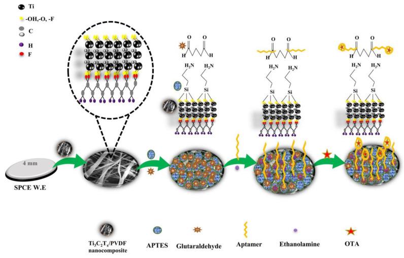 https://cdn.ncbi.nlm.nih.gov/pmc/blobs/2821/11434313/8a03da0d02a1/molecules-29-04412-g010.jpg