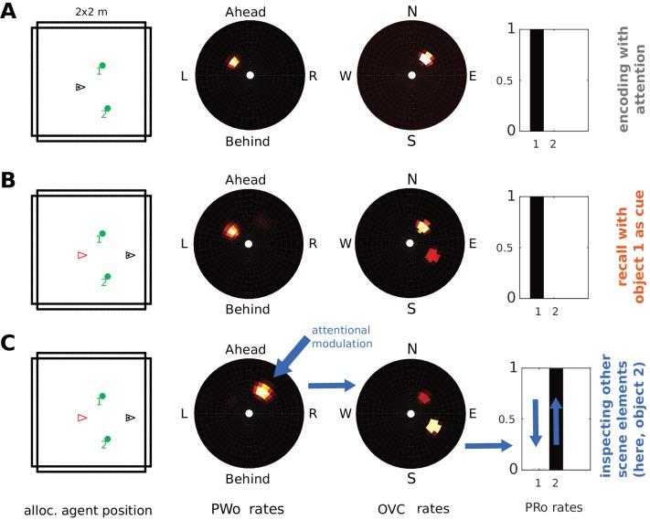https://cdn.ncbi.nlm.nih.gov/pmc/blobs/282b/6122954/14b4af785179/elife-33752-fig11.jpg