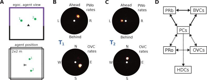 https://cdn.ncbi.nlm.nih.gov/pmc/blobs/282b/6122954/86c817d35128/elife-33752-fig3.jpg