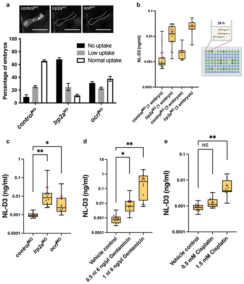 https://cdn.ncbi.nlm.nih.gov/pmc/blobs/283b/7614274/6683e5cab552/EMS170654-f002.jpg