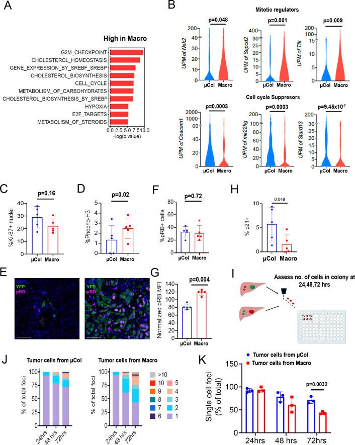 https://cdn.ncbi.nlm.nih.gov/pmc/blobs/2867/7929558/639396aa6af2/elife-63270-fig3.jpg