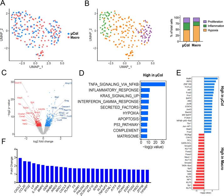 https://cdn.ncbi.nlm.nih.gov/pmc/blobs/2867/7929558/770415288217/elife-63270-fig2.jpg