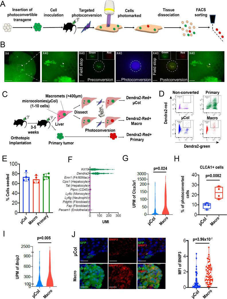 https://cdn.ncbi.nlm.nih.gov/pmc/blobs/2867/7929558/7b7823cfd3c0/elife-63270-fig1.jpg