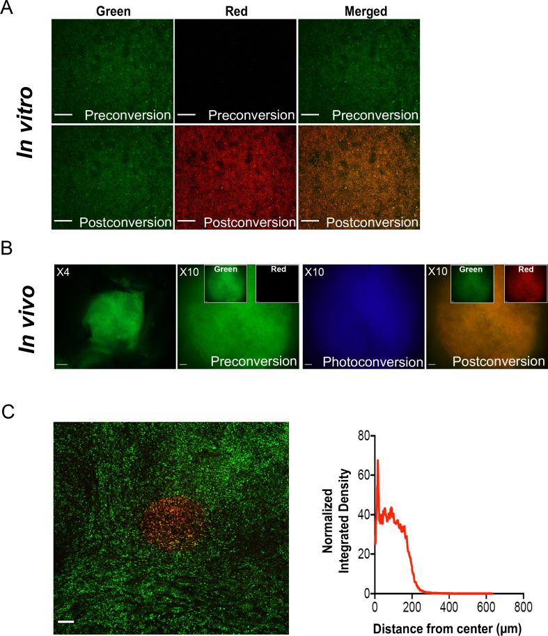 https://cdn.ncbi.nlm.nih.gov/pmc/blobs/2867/7929558/fdaf5a1709c8/elife-63270-fig1-figsupp1.jpg
