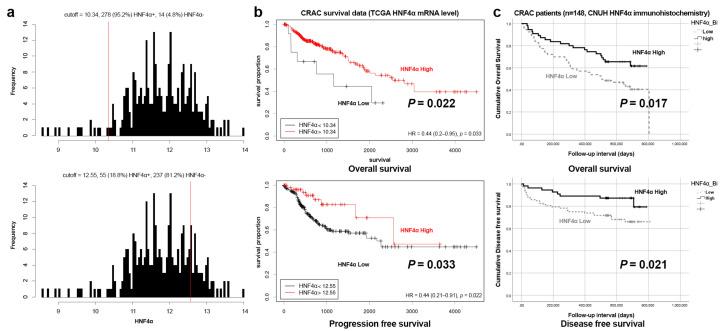 https://cdn.ncbi.nlm.nih.gov/pmc/blobs/288e/12025726/9bc23383b893/cells-14-00599-g004.jpg