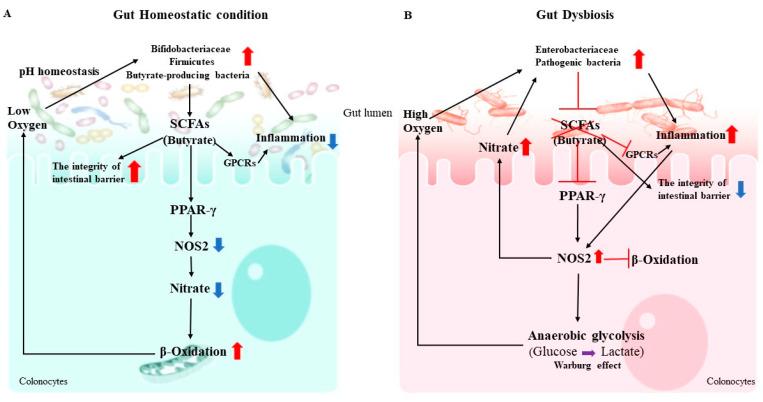 https://cdn.ncbi.nlm.nih.gov/pmc/blobs/2893/7602490/8f377b92f833/microorganisms-08-01587-g001.jpg