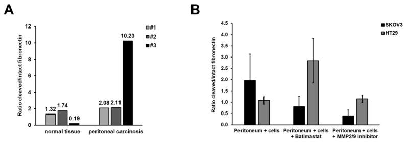 https://cdn.ncbi.nlm.nih.gov/pmc/blobs/2899/9367441/1b0b0abf56ca/cancers-14-03760-g004.jpg