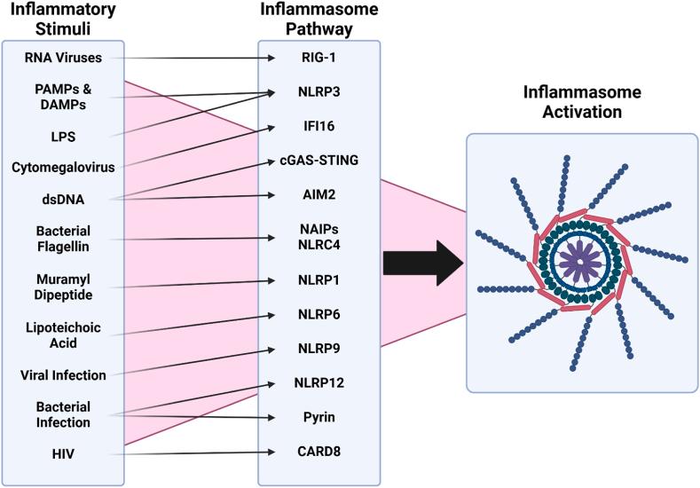 https://cdn.ncbi.nlm.nih.gov/pmc/blobs/289e/12282849/67cffc3dd4af/gr2.jpg