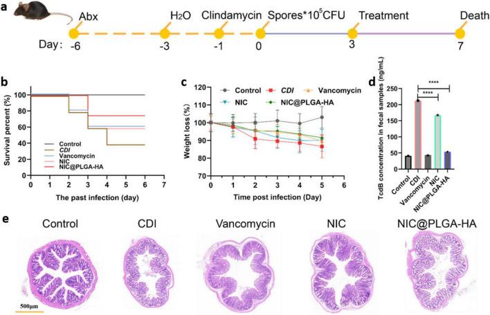 https://cdn.ncbi.nlm.nih.gov/pmc/blobs/28ae/12343512/5173e8d18e8e/fmicb-16-1617631-g005.jpg