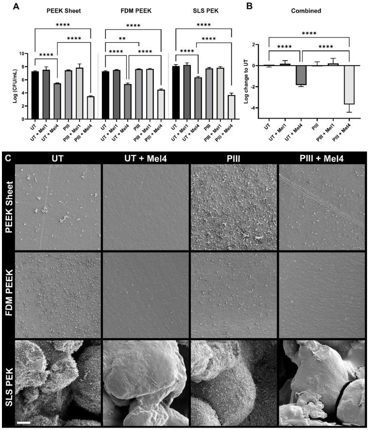 https://cdn.ncbi.nlm.nih.gov/pmc/blobs/28d6/11049013/58f22dbca309/cells-13-00656-g002.jpg
