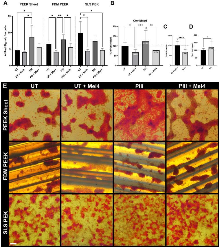 https://cdn.ncbi.nlm.nih.gov/pmc/blobs/28d6/11049013/aae635149532/cells-13-00656-g006.jpg
