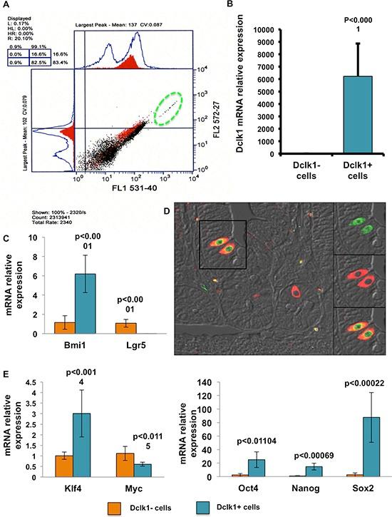 https://cdn.ncbi.nlm.nih.gov/pmc/blobs/2911/4741574/7eda14e31e45/oncotarget-06-30876-g001.jpg