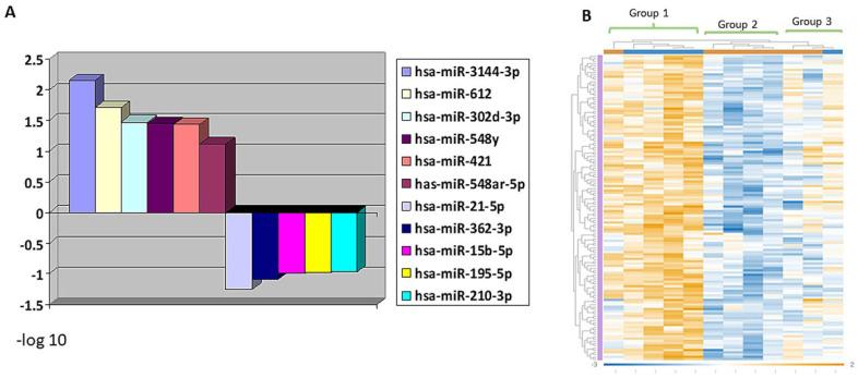 https://cdn.ncbi.nlm.nih.gov/pmc/blobs/2918/8833805/6cfcedae9c98/cancers-14-00522-g003.jpg