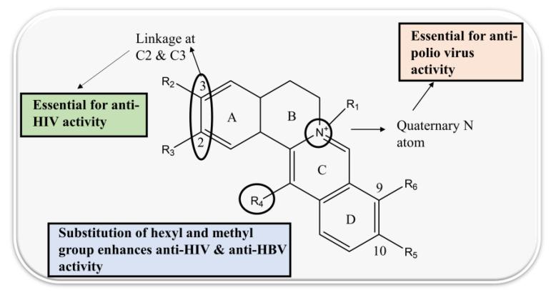 https://cdn.ncbi.nlm.nih.gov/pmc/blobs/2920/9856122/71dd9afa4ae0/biomolecules-13-00017-g003.jpg