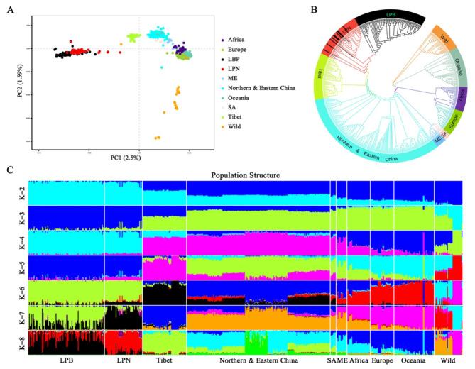 https://cdn.ncbi.nlm.nih.gov/pmc/blobs/2929/11382470/17175d251e40/12864_2024_10772_Fig1_HTML.jpg