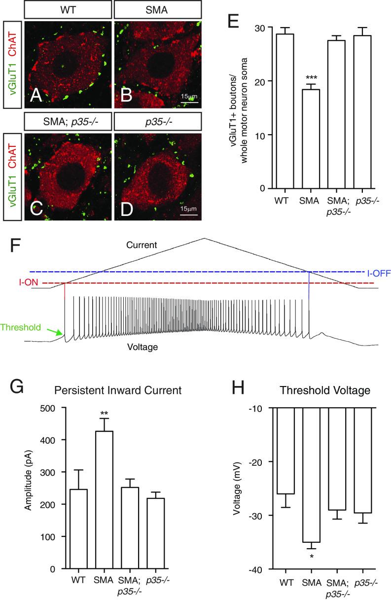https://cdn.ncbi.nlm.nih.gov/pmc/blobs/292b/10666147/0b9e086d42da/pnas.2300308120fig06.jpg