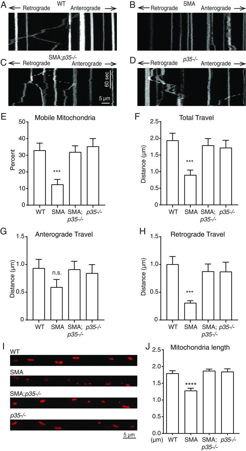 https://cdn.ncbi.nlm.nih.gov/pmc/blobs/292b/10666147/f54be9f1c783/pnas.2300308120fig05.jpg
