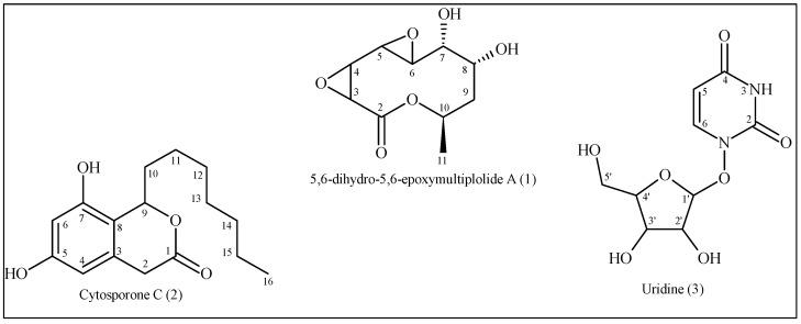 https://cdn.ncbi.nlm.nih.gov/pmc/blobs/292d/12029568/f673b037133a/microorganisms-13-00792-g001.jpg