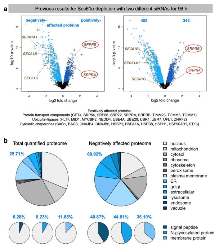 https://cdn.ncbi.nlm.nih.gov/pmc/blobs/2932/8230838/0ca1b296aeea/molecules-26-03591-g003.jpg