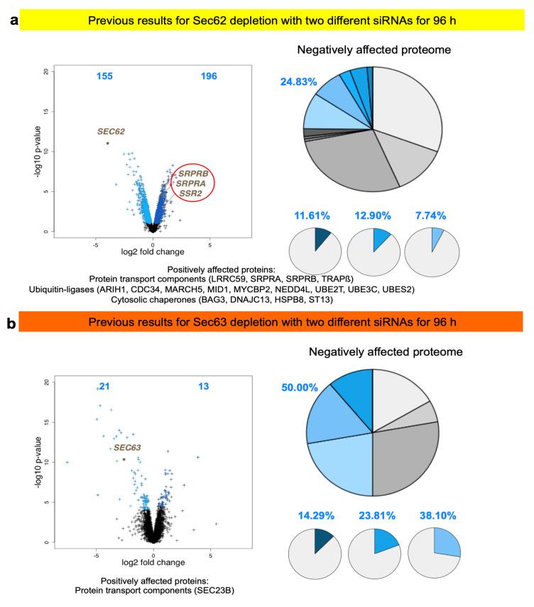 https://cdn.ncbi.nlm.nih.gov/pmc/blobs/2932/8230838/488b054ef62c/molecules-26-03591-g009.jpg