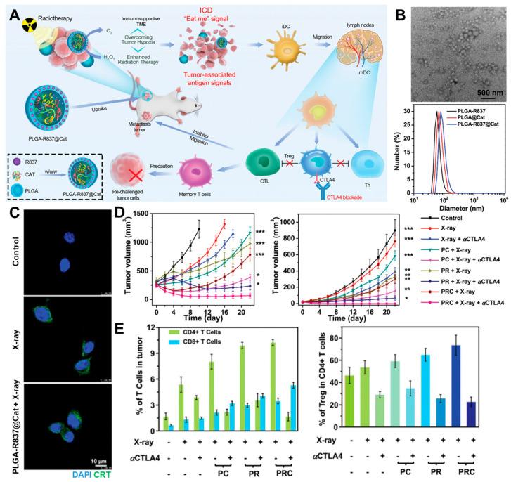 https://cdn.ncbi.nlm.nih.gov/pmc/blobs/2944/11676242/b51158f559a1/molecules-29-05855-g003.jpg