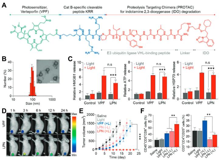 https://cdn.ncbi.nlm.nih.gov/pmc/blobs/2944/11676242/c204f96f0f42/molecules-29-05855-g002.jpg