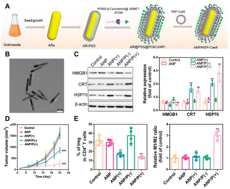 https://cdn.ncbi.nlm.nih.gov/pmc/blobs/2944/11676242/e1fb6a83d54f/molecules-29-05855-g004.jpg