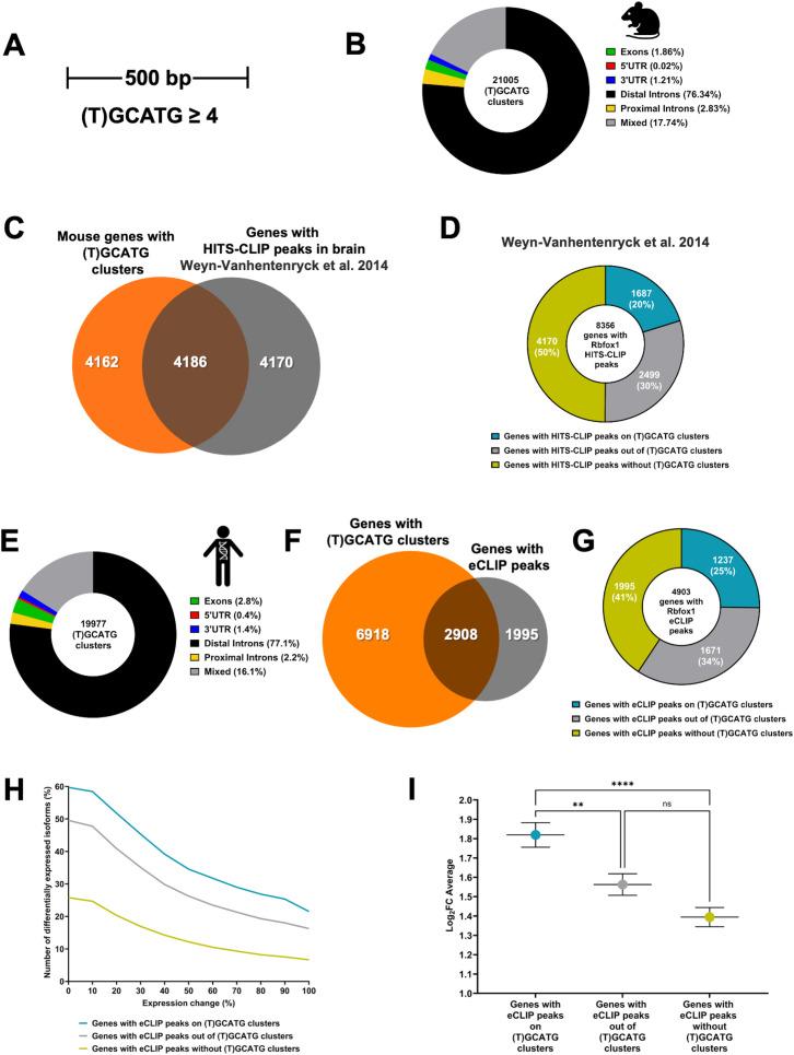 https://cdn.ncbi.nlm.nih.gov/pmc/blobs/2958/12435732/2723e31557dd/pgen.1011855.g003.jpg