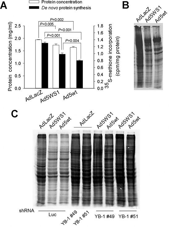 https://cdn.ncbi.nlm.nih.gov/pmc/blobs/2989/4742001/dfd3f77b0321/oncotarget-06-38308-g002.jpg