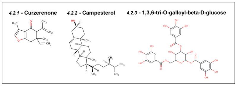 https://cdn.ncbi.nlm.nih.gov/pmc/blobs/299d/11506508/ec88a2d7a311/cancers-16-03470-g006.jpg
