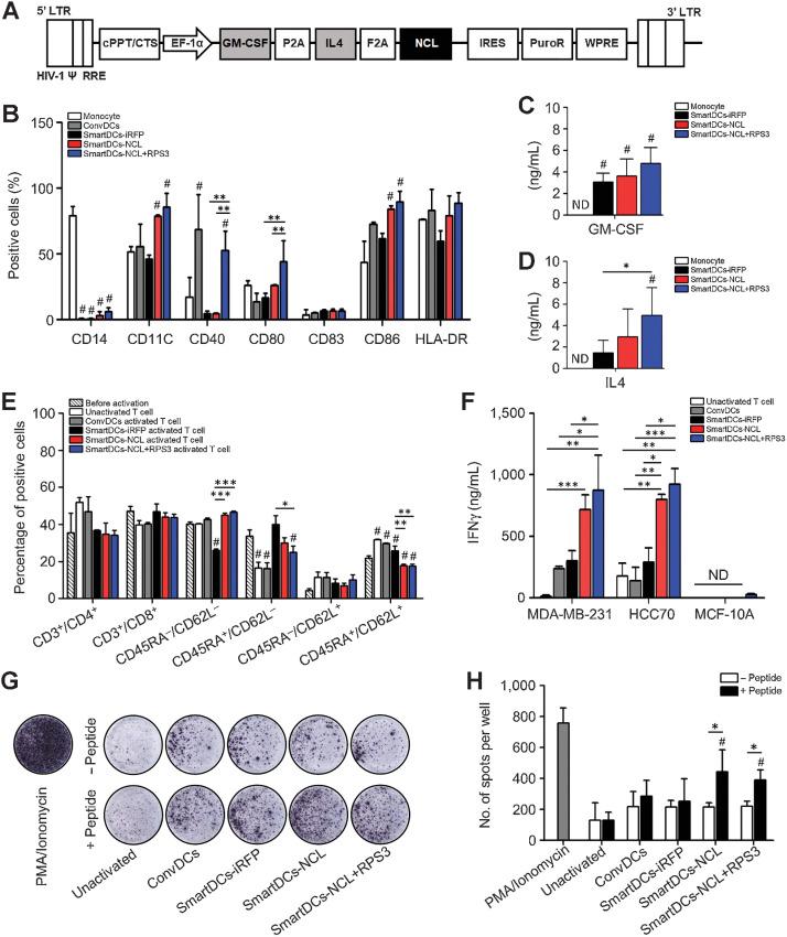 https://cdn.ncbi.nlm.nih.gov/pmc/blobs/29a5/9377762/00083e062eb1/727fig2.jpg