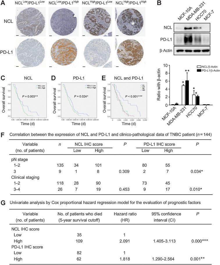 https://cdn.ncbi.nlm.nih.gov/pmc/blobs/29a5/9377762/6228fb53a448/727fig1.jpg