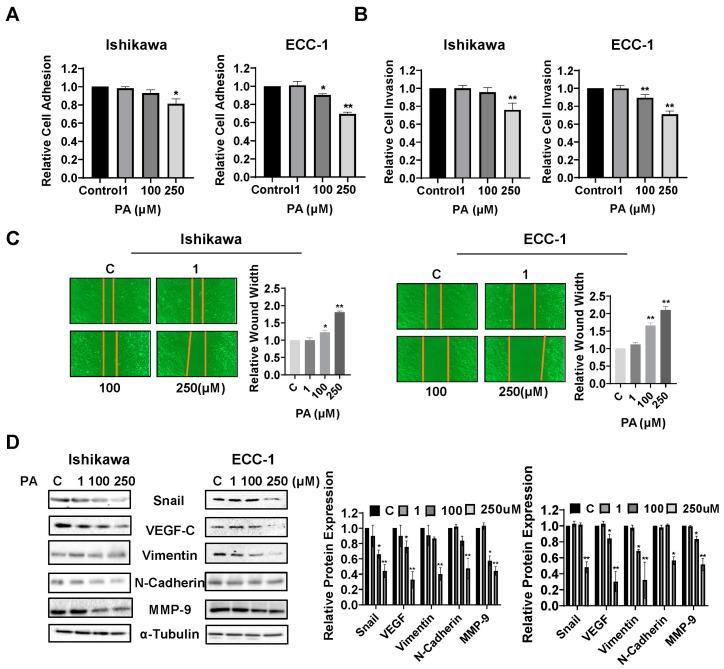 https://cdn.ncbi.nlm.nih.gov/pmc/blobs/29c3/11117634/088c496c142f/biomolecules-14-00601-g004.jpg