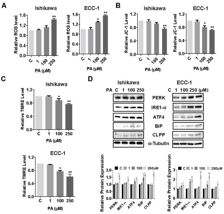 https://cdn.ncbi.nlm.nih.gov/pmc/blobs/29c3/11117634/75f361bca550/biomolecules-14-00601-g003.jpg