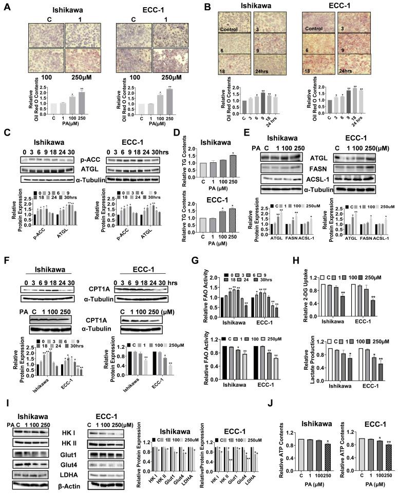 https://cdn.ncbi.nlm.nih.gov/pmc/blobs/29c3/11117634/a0db3f63f266/biomolecules-14-00601-g006.jpg