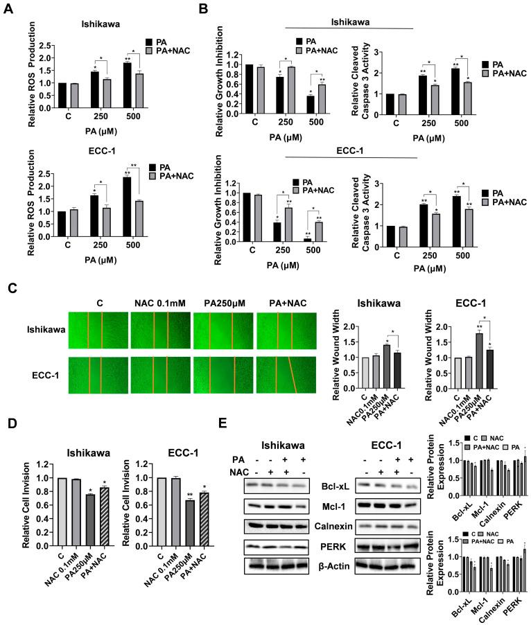 https://cdn.ncbi.nlm.nih.gov/pmc/blobs/29c3/11117634/a5b1cc0c904c/biomolecules-14-00601-g005.jpg