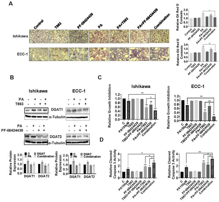 https://cdn.ncbi.nlm.nih.gov/pmc/blobs/29c3/11117634/b232037036c4/biomolecules-14-00601-g007.jpg