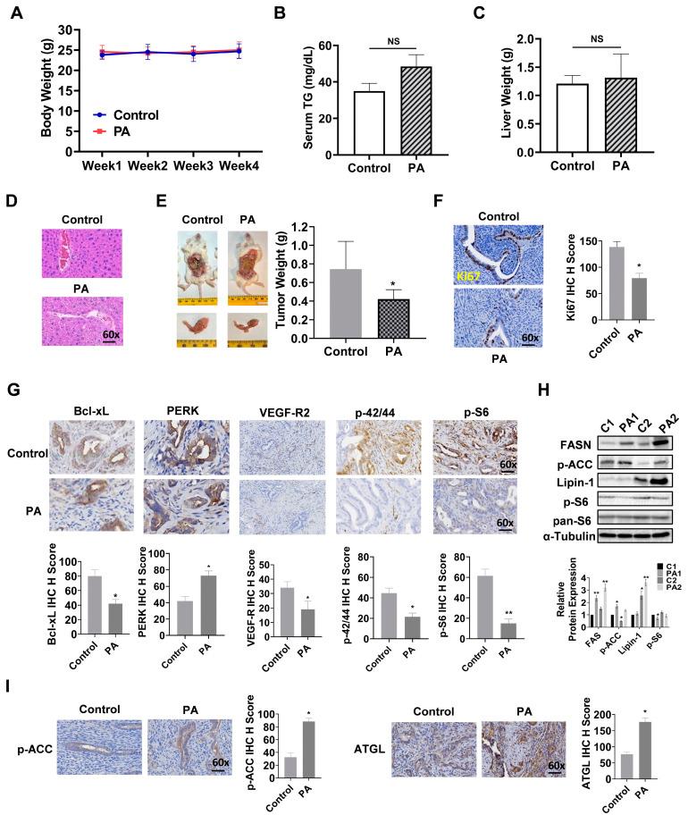 https://cdn.ncbi.nlm.nih.gov/pmc/blobs/29c3/11117634/cffef9d77473/biomolecules-14-00601-g008.jpg