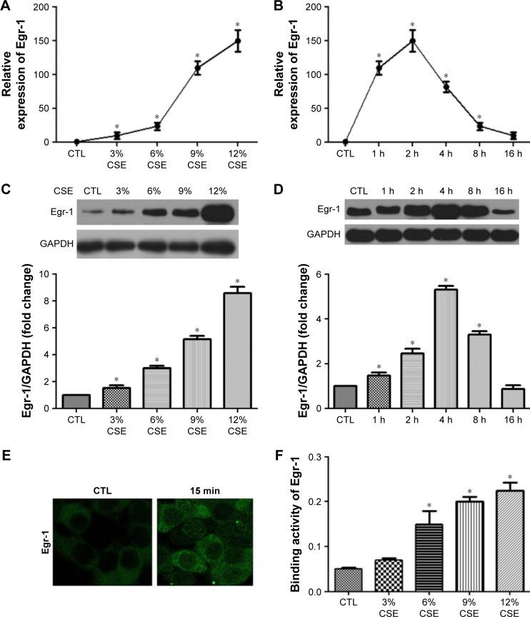 https://cdn.ncbi.nlm.nih.gov/pmc/blobs/29d8/5144910/7494ddb50af7/copd-11-3031Fig2.jpg