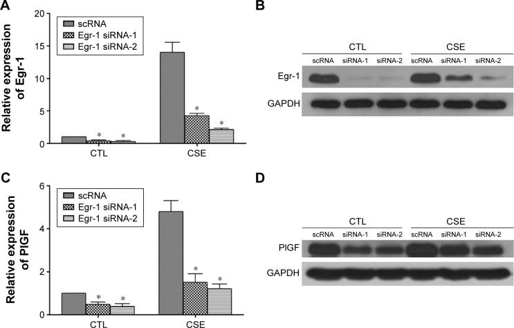 https://cdn.ncbi.nlm.nih.gov/pmc/blobs/29d8/5144910/c61f919638b1/copd-11-3031Fig3.jpg