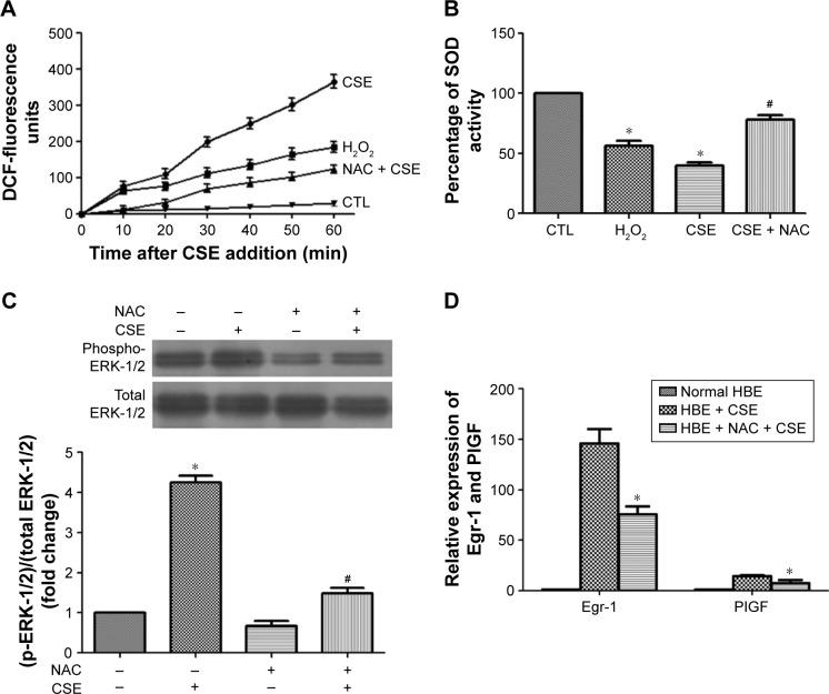 https://cdn.ncbi.nlm.nih.gov/pmc/blobs/29d8/5144910/d70271c09816/copd-11-3031Fig5.jpg