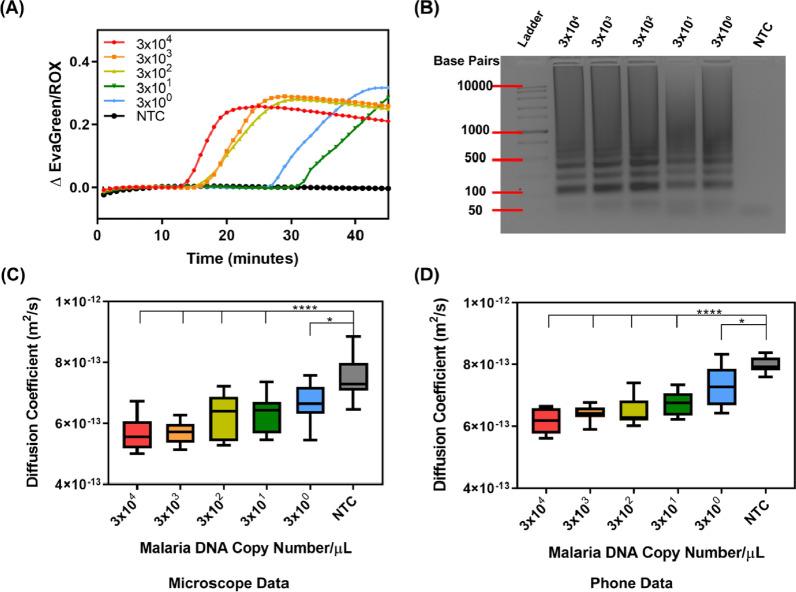https://cdn.ncbi.nlm.nih.gov/pmc/blobs/2a19/8466697/34339f7f6ca3/12936_2021_3894_Fig2_HTML.jpg