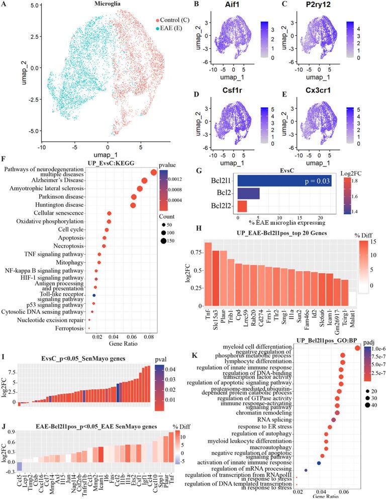 https://cdn.ncbi.nlm.nih.gov/pmc/blobs/2a22/11529445/4306628e1916/12974_2024_3278_Fig1_HTML.jpg