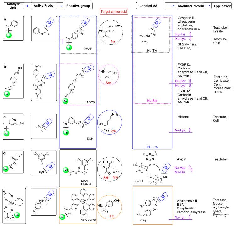 https://cdn.ncbi.nlm.nih.gov/pmc/blobs/2a25/11677502/82d5c273a4f7/metabolites-14-00668-g005.jpg