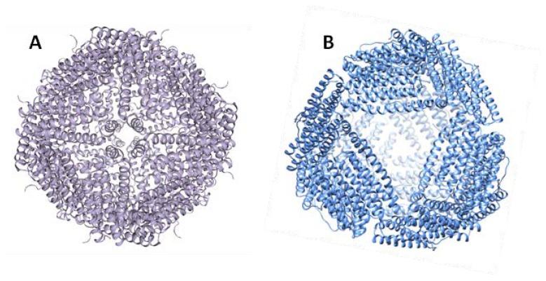 https://cdn.ncbi.nlm.nih.gov/pmc/blobs/2a2e/7070480/48f44002d5e1/molecules-25-00825-g002.jpg