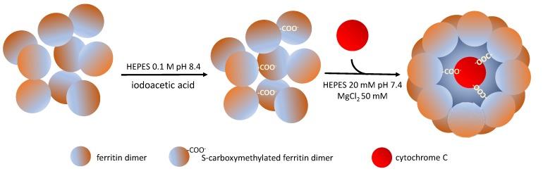 https://cdn.ncbi.nlm.nih.gov/pmc/blobs/2a2e/7070480/70b86dba7f73/molecules-25-00825-g006.jpg