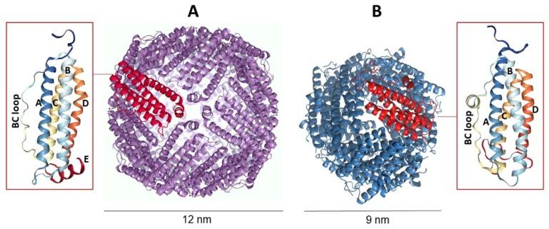 https://cdn.ncbi.nlm.nih.gov/pmc/blobs/2a2e/7070480/f910ce500953/molecules-25-00825-g001.jpg