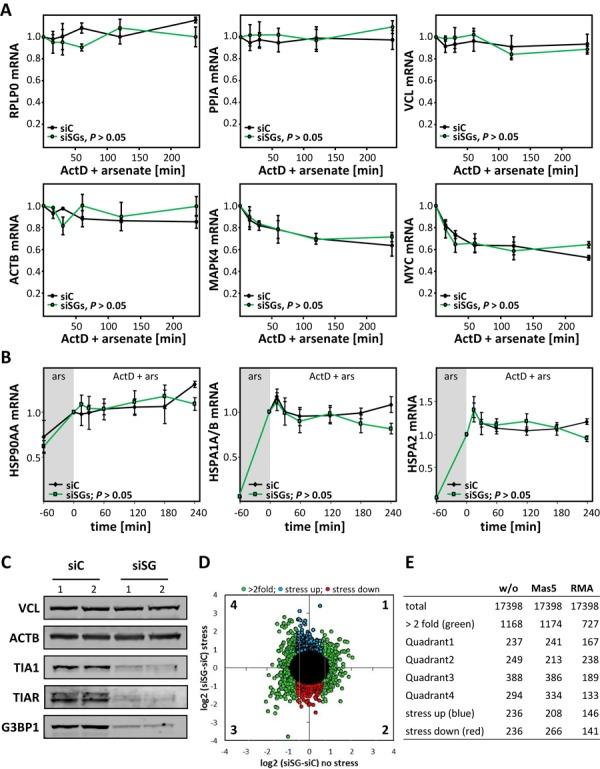 https://cdn.ncbi.nlm.nih.gov/pmc/blobs/2a42/4344486/bf113968e436/gku1275fig5.jpg